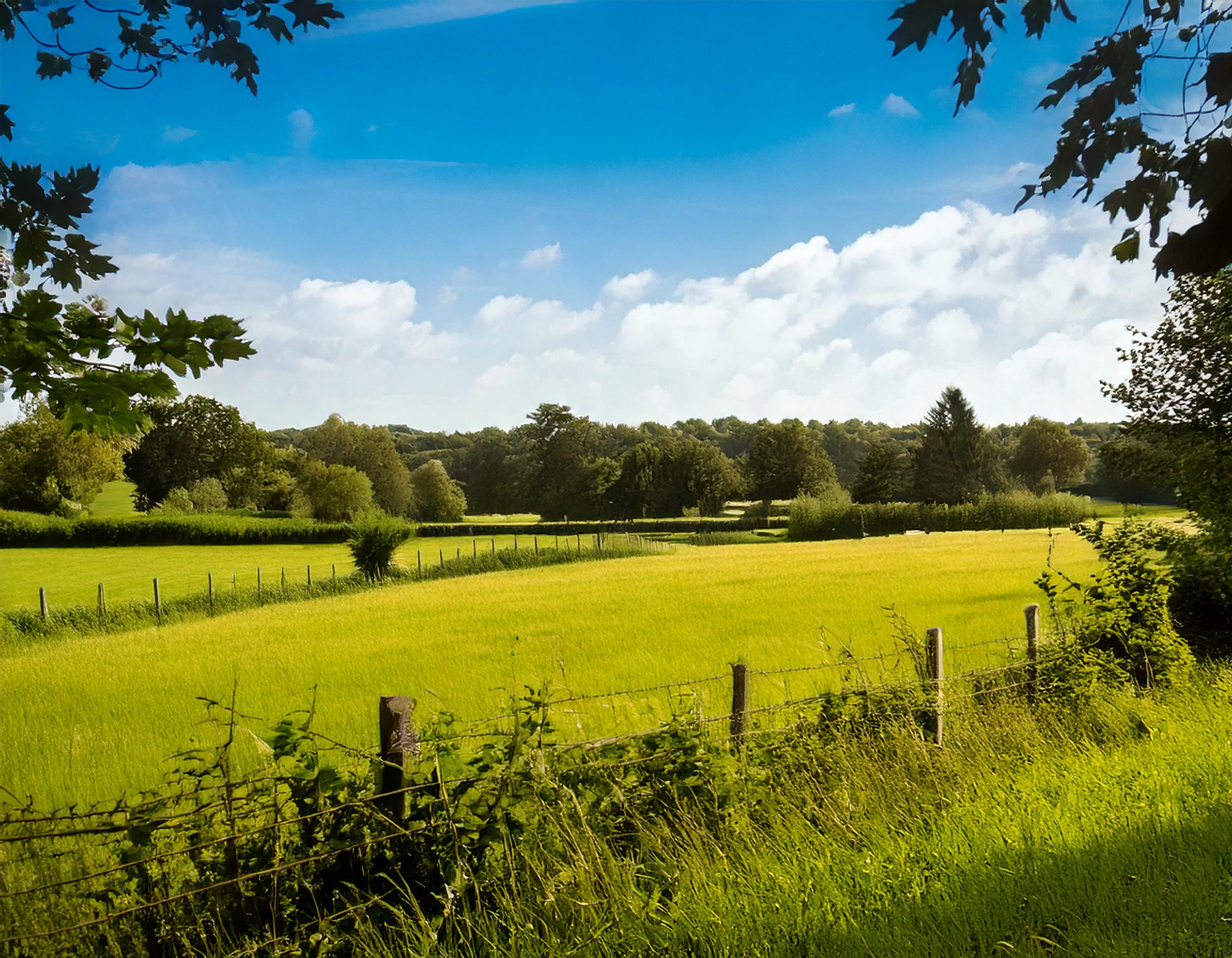 Le droit de préemption des terres agricoles et le rôle de la SAFER