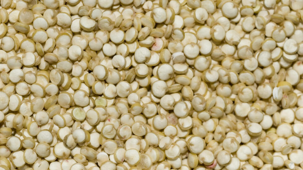 C’est quoi le quinoa, la petite graine des vegans